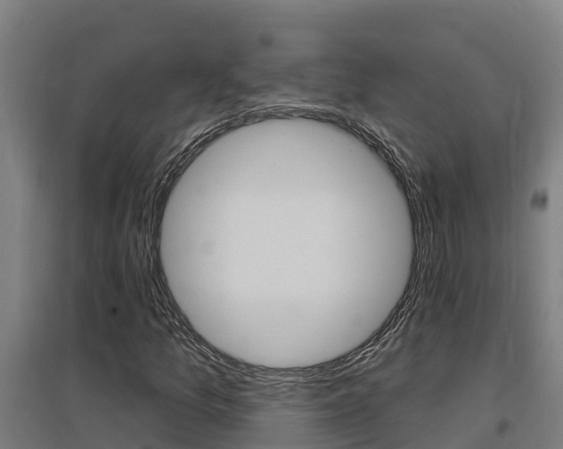 X0000097591157200802290743