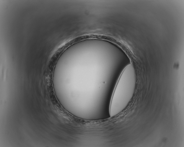X0000097591159200802290743