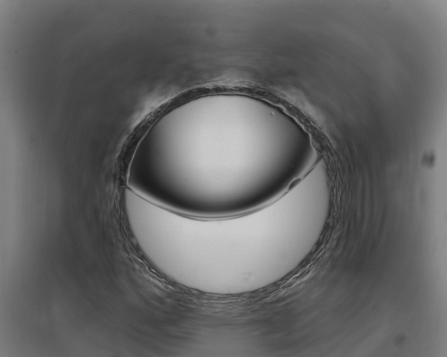 X0000097591160200802290743