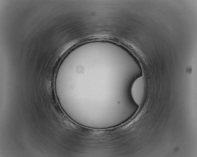 X0000097591162200802290743
