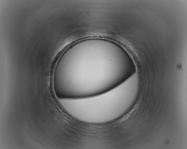X0000097591165200802290743