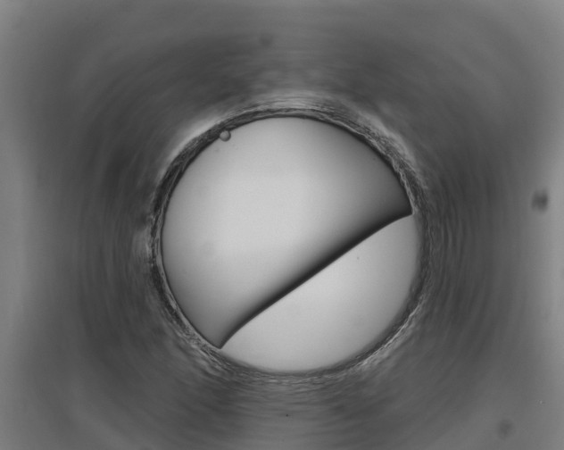 X0000097591166200802290743