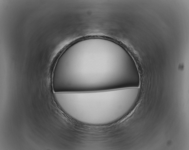 X0000097591167200802290743