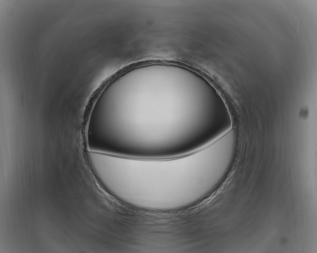 X0000097591168200802290743
