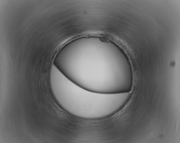 X0000097591169200802290743