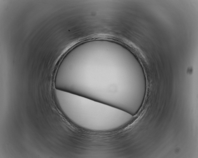 X0000097591170200802290743