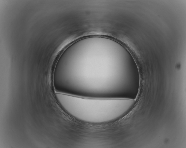 X0000097591173200802290743