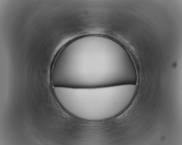X0000097591174200802290743
