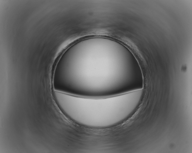 X0000097591176200802290743