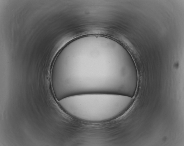 X0000097591178200802290743