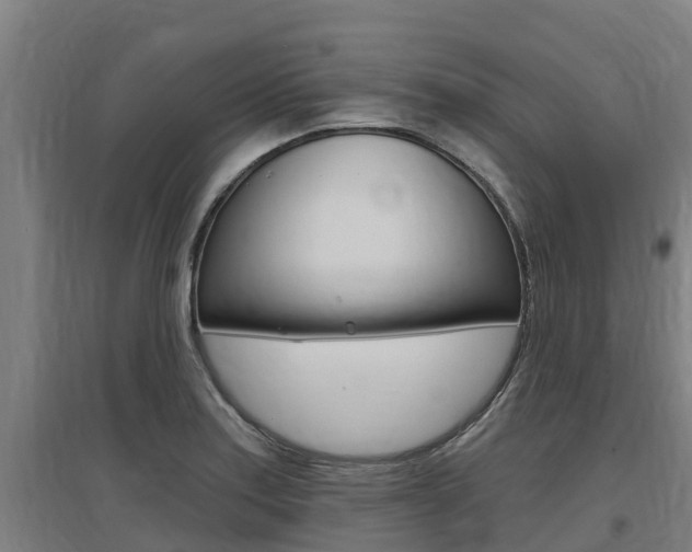 X0000097591179200802290743