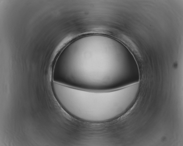 X0000097591180200802290743