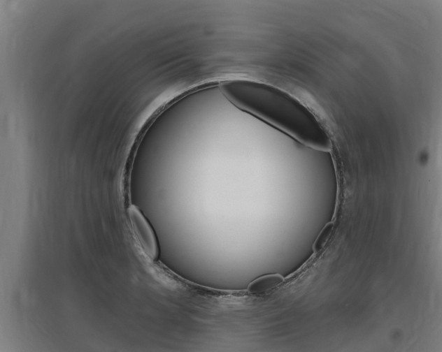 X0000097591181200802290743
