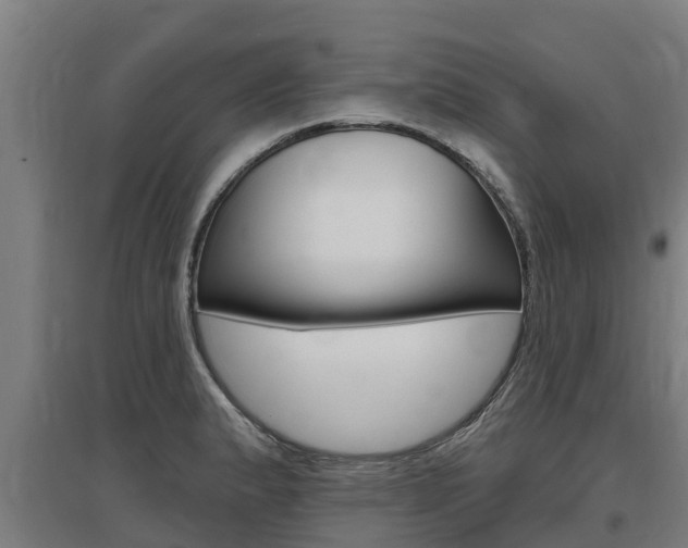 X0000097591183200802290743