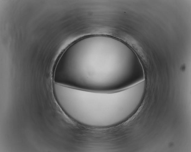 X0000097591184200802290743
