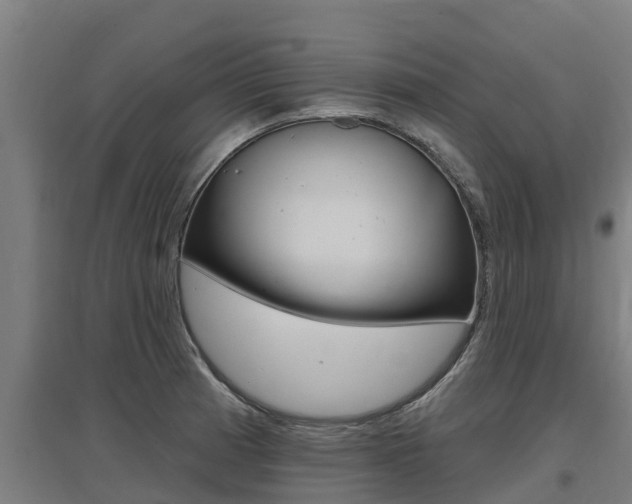 X0000097591185200802290743