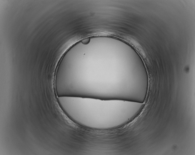 X0000097591186200802290743