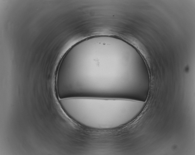 X0000097591187200802290743