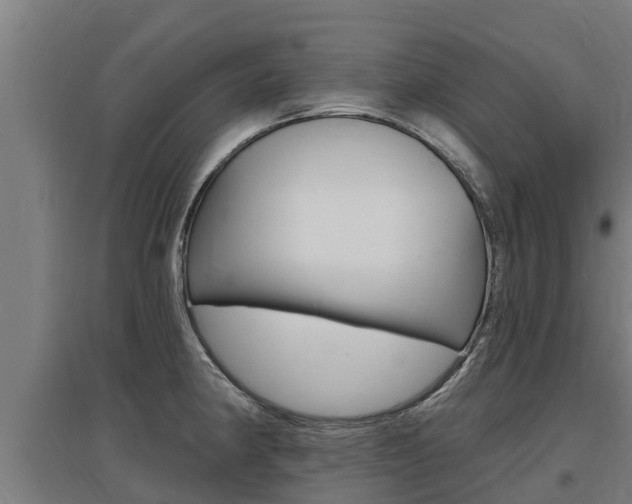 X0000097591190200802290742