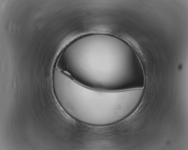 X0000097591192200802290742