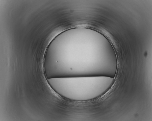 X0000097591194200802290742