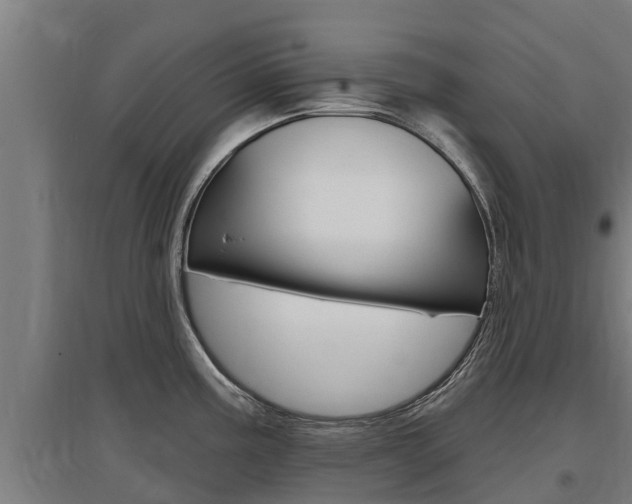 X0000097591195200802290742