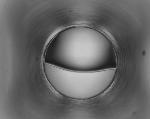 X0000097591196200802290742