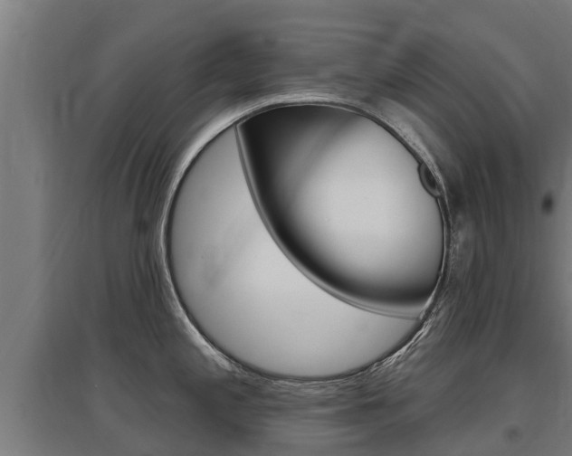 X0000097591197200802290742