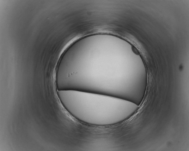 X0000097591198200802290742