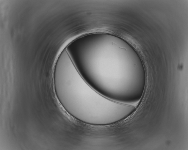 X0000097591200200802290742