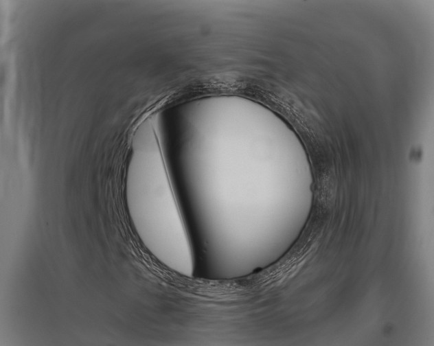 X0000097591201200802290742