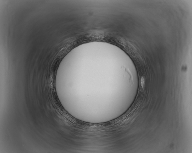 X0000097591203200802290742