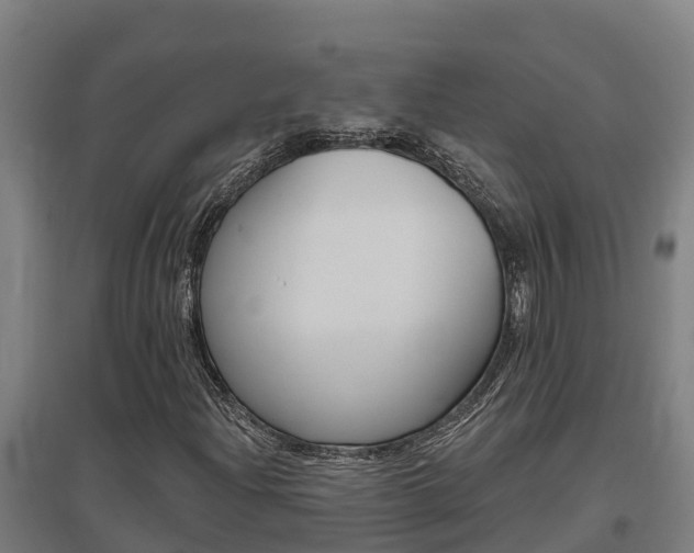 X0000097591204200802290742