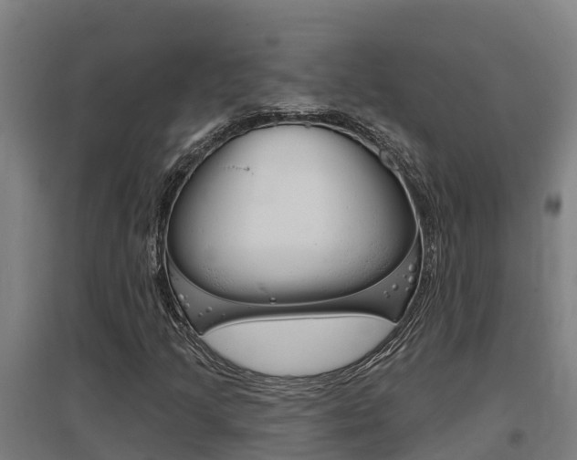 X0000097591205200802290742
