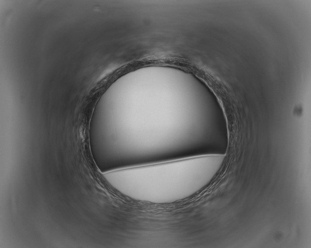 X0000097591206200802290742