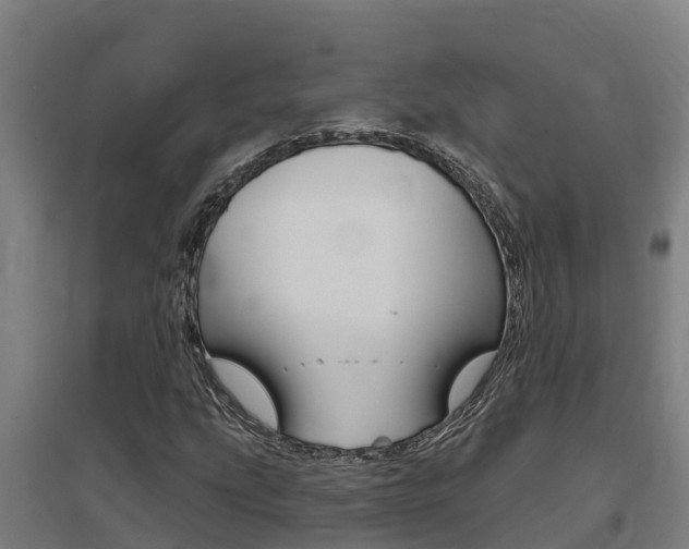 X0000097591207200802290742