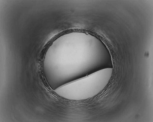 X0000097591208200802290742