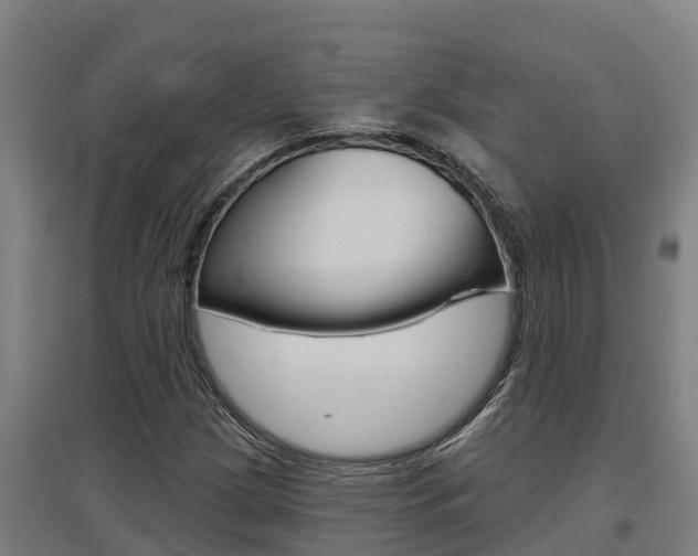 X0000097591209200802290742