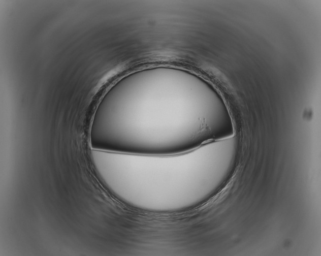 X0000097591210200802290742