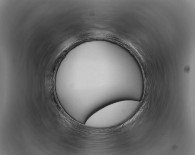 X0000097591211200802290742