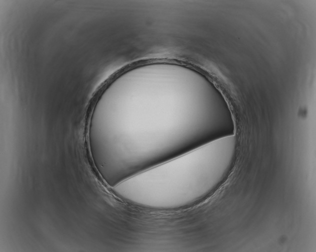 X0000097591216200802290742