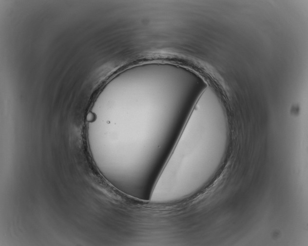 X0000097591217200802290742