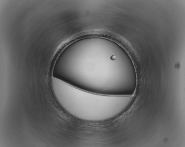 X0000097591218200802290742