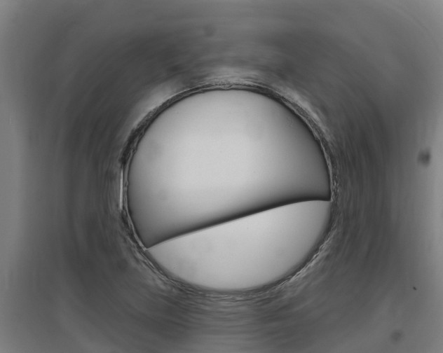 X0000097591219200802290742