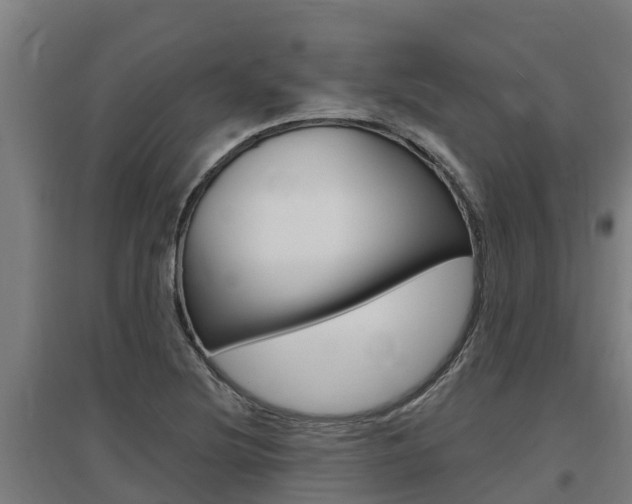 X0000097591220200802290742