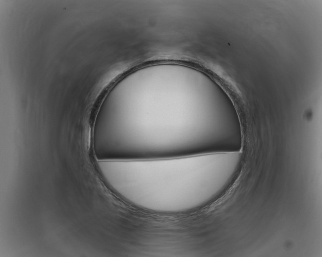 X0000097591221200802290742
