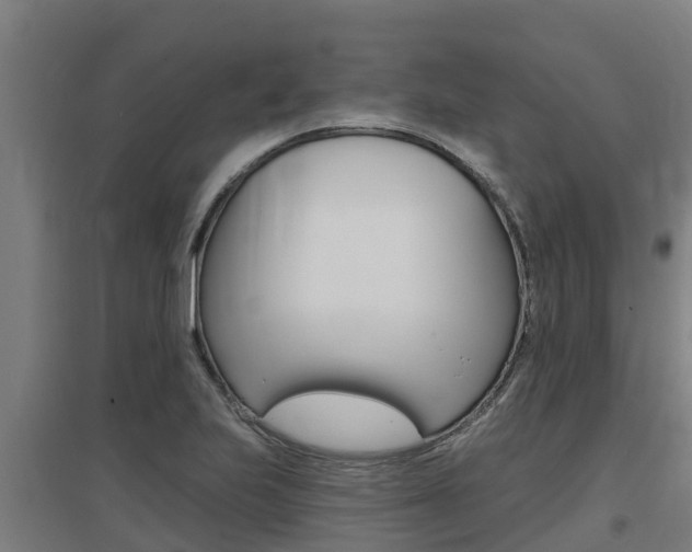 X0000097591223200802290742