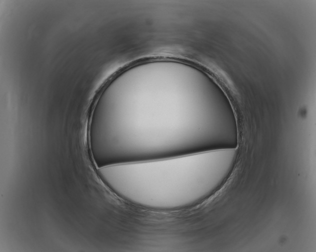 X0000097591224200802290742
