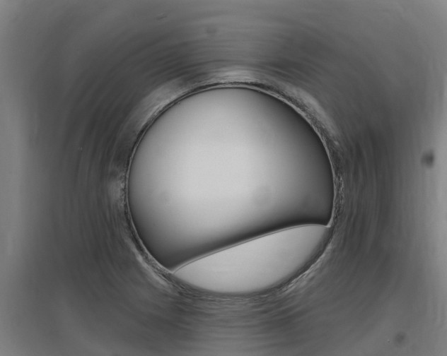 X0000097591225200802290742
