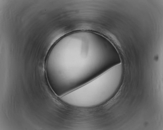 X0000097591226200802290742
